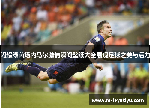 闪耀绿茵场内马尔激情瞬间壁纸大全展现足球之美与活力
