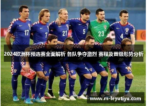 2024欧洲杯预选赛全面解析 各队争夺激烈 赛程及晋级形势分析