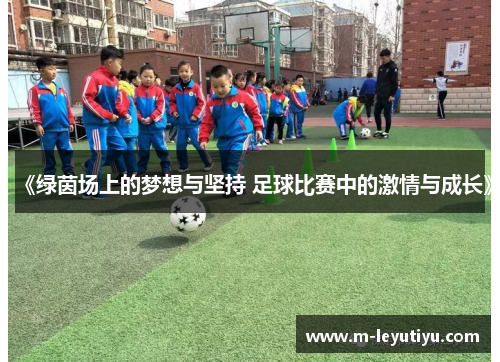 《绿茵场上的梦想与坚持 足球比赛中的激情与成长》