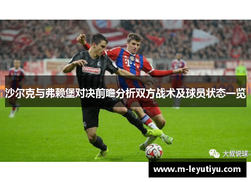沙尔克与弗赖堡对决前瞻分析双方战术及球员状态一览